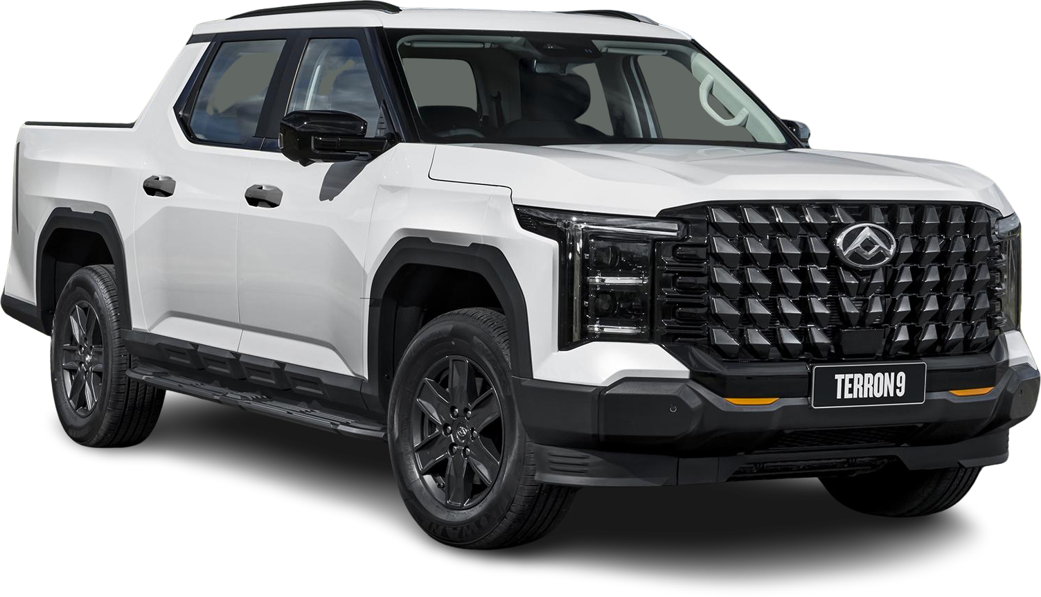 LDV Terron 9