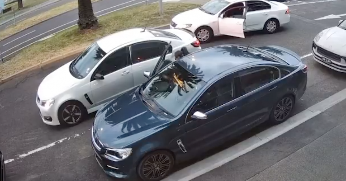 Hot Holden Commodore targeted by angle grinder-wielding thieves in broad daylight