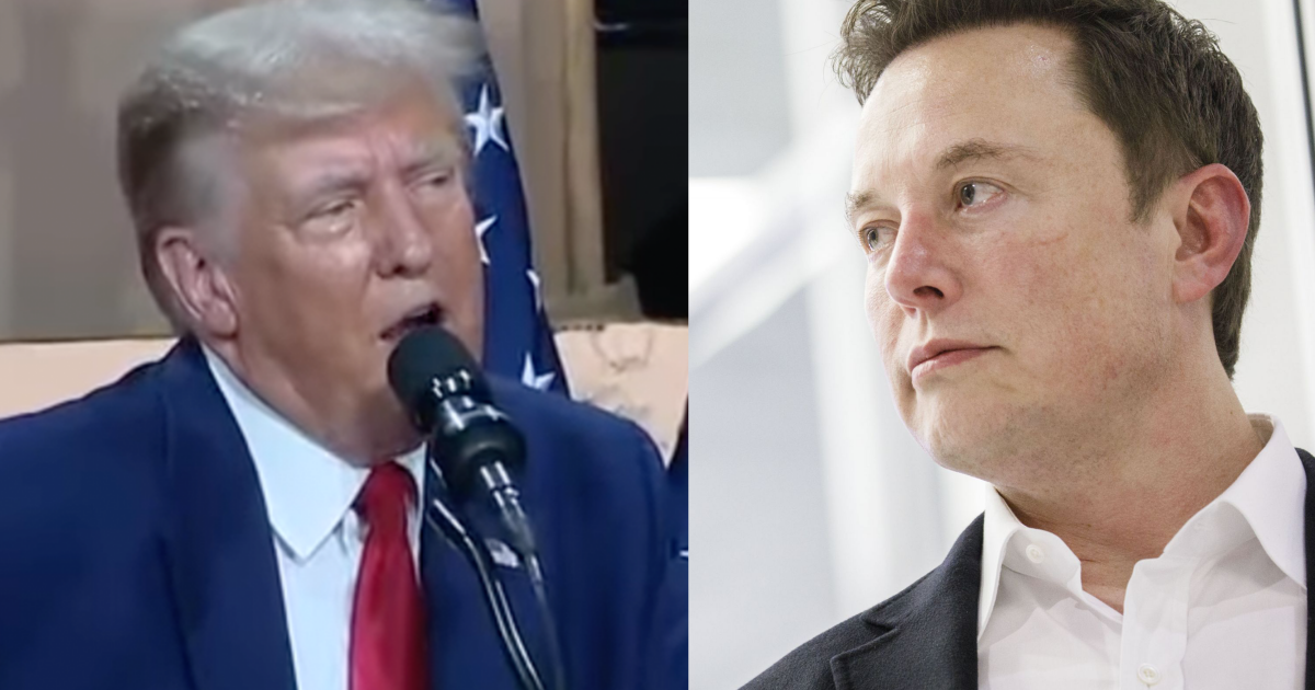 Donald Trump says Elon Musk ‘went crazy’ over US EV subsidy cuts