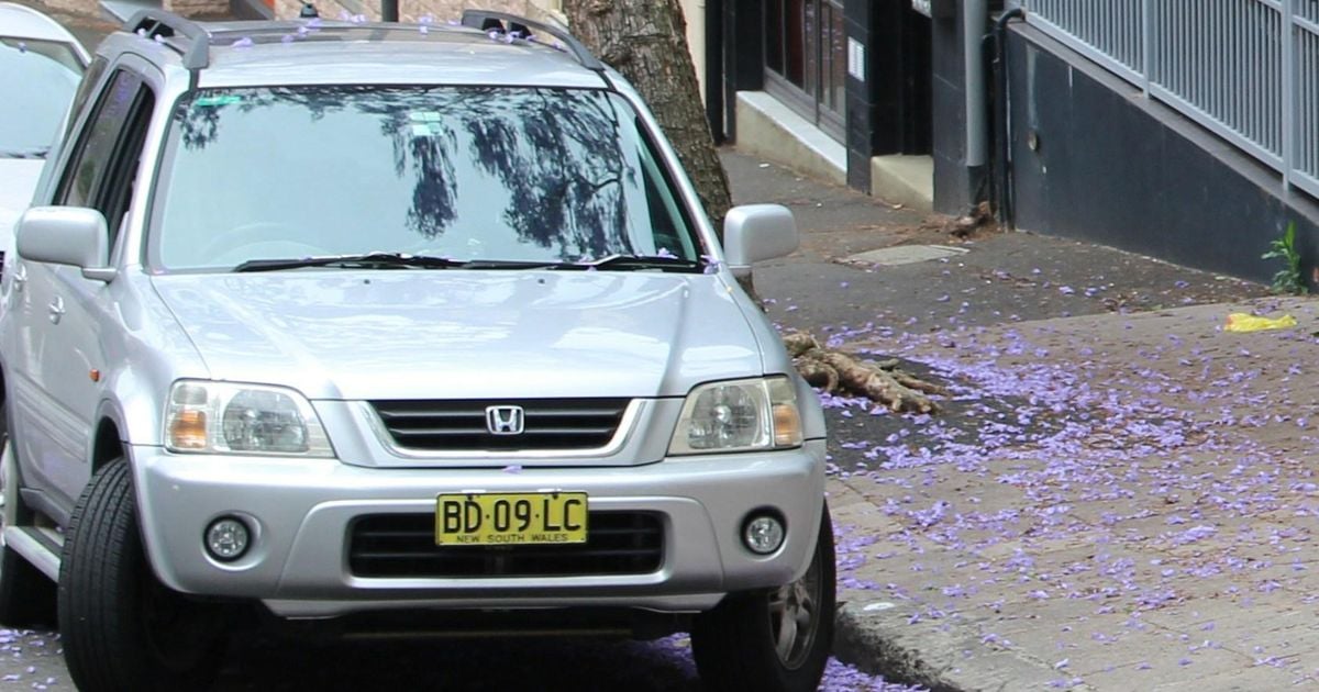 Noisy neighbours and dodgy parking: Australia’s unwritten neighbourhood rules revealed Noisy neighbours and dodgy parking: Australia’s unwritten neighbourhood rules revealed