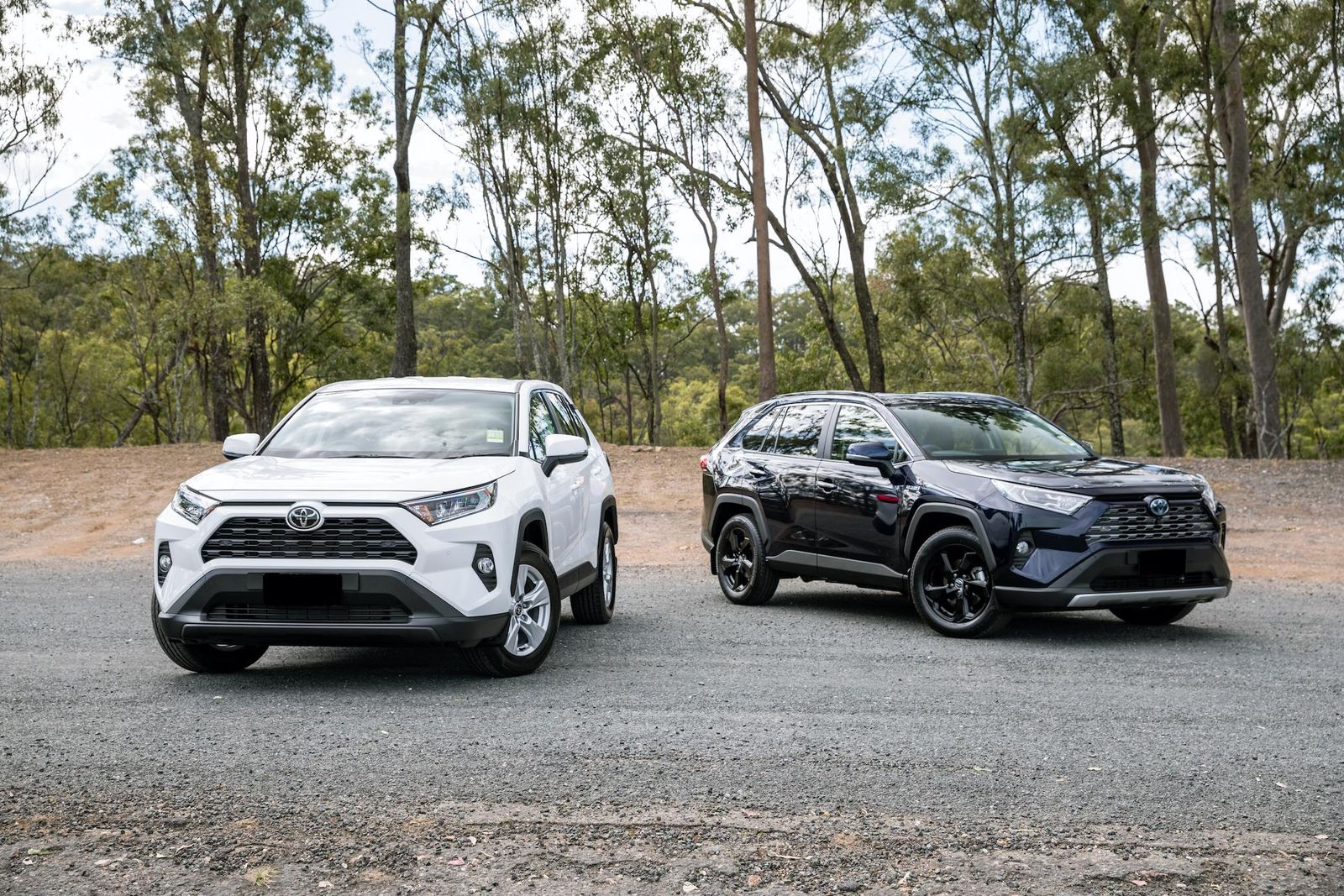 Toyota RAV4 v Toyota RAV4 Hybrid: Which should you buy?