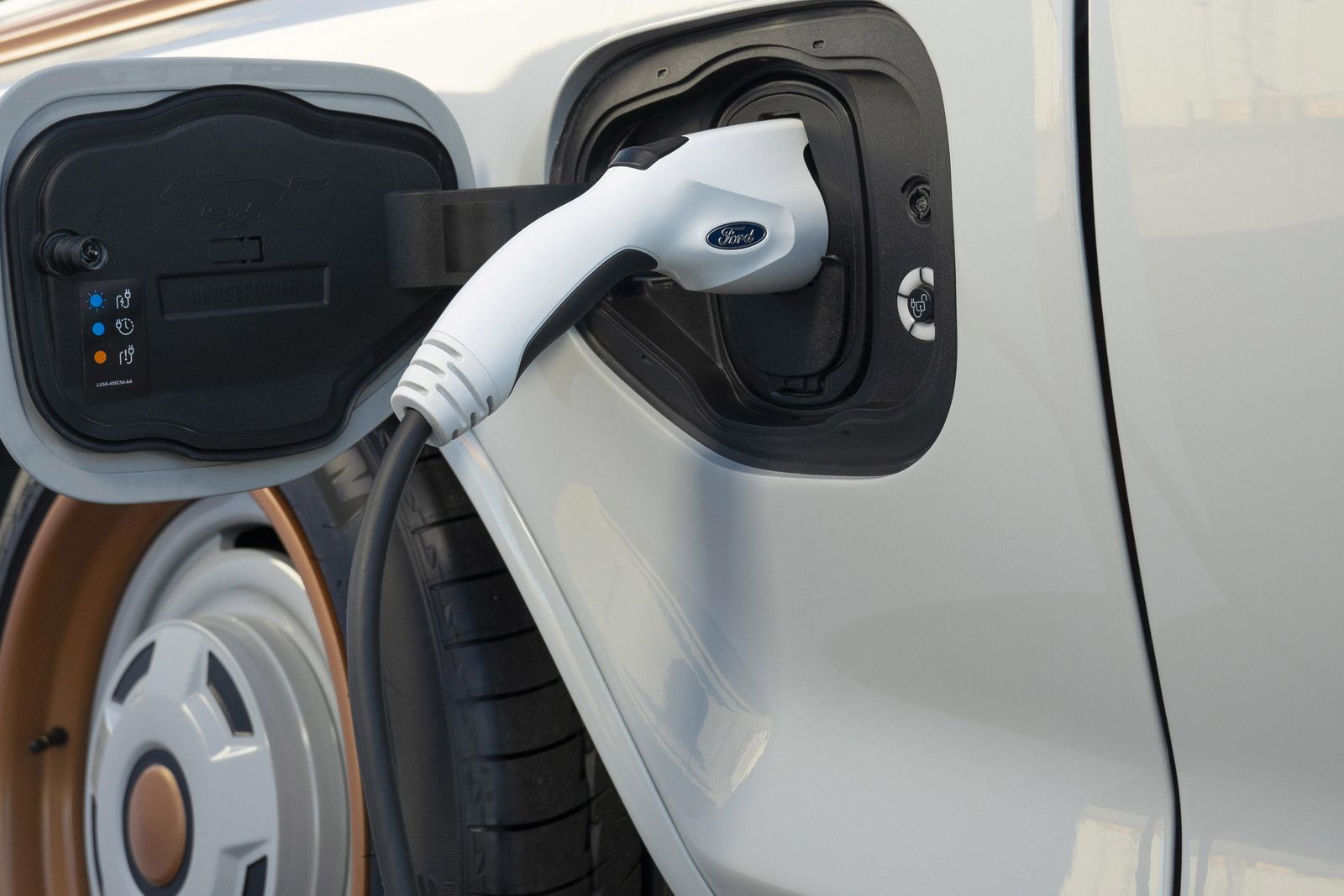 Ford CEO says biggest rival is China, not GM or Toyota