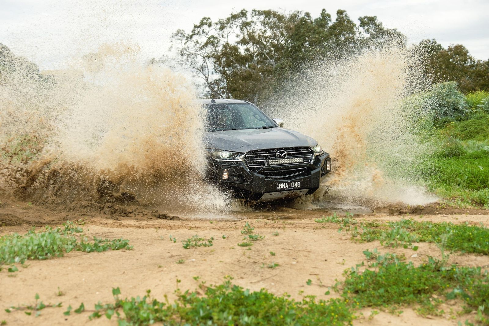 Ute jargon: What do you need to know?