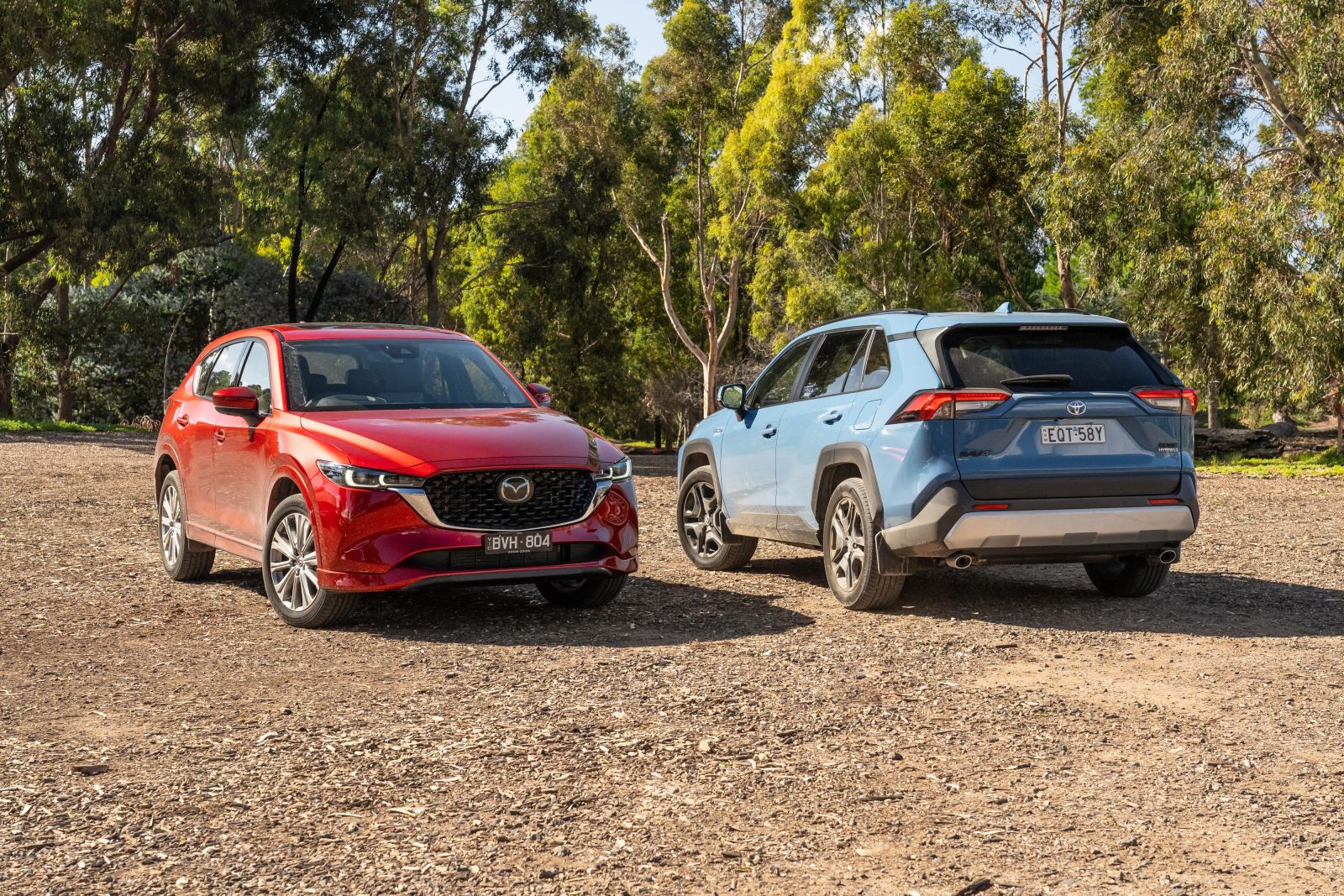 The dangerous side effect of Australia's ute obsession