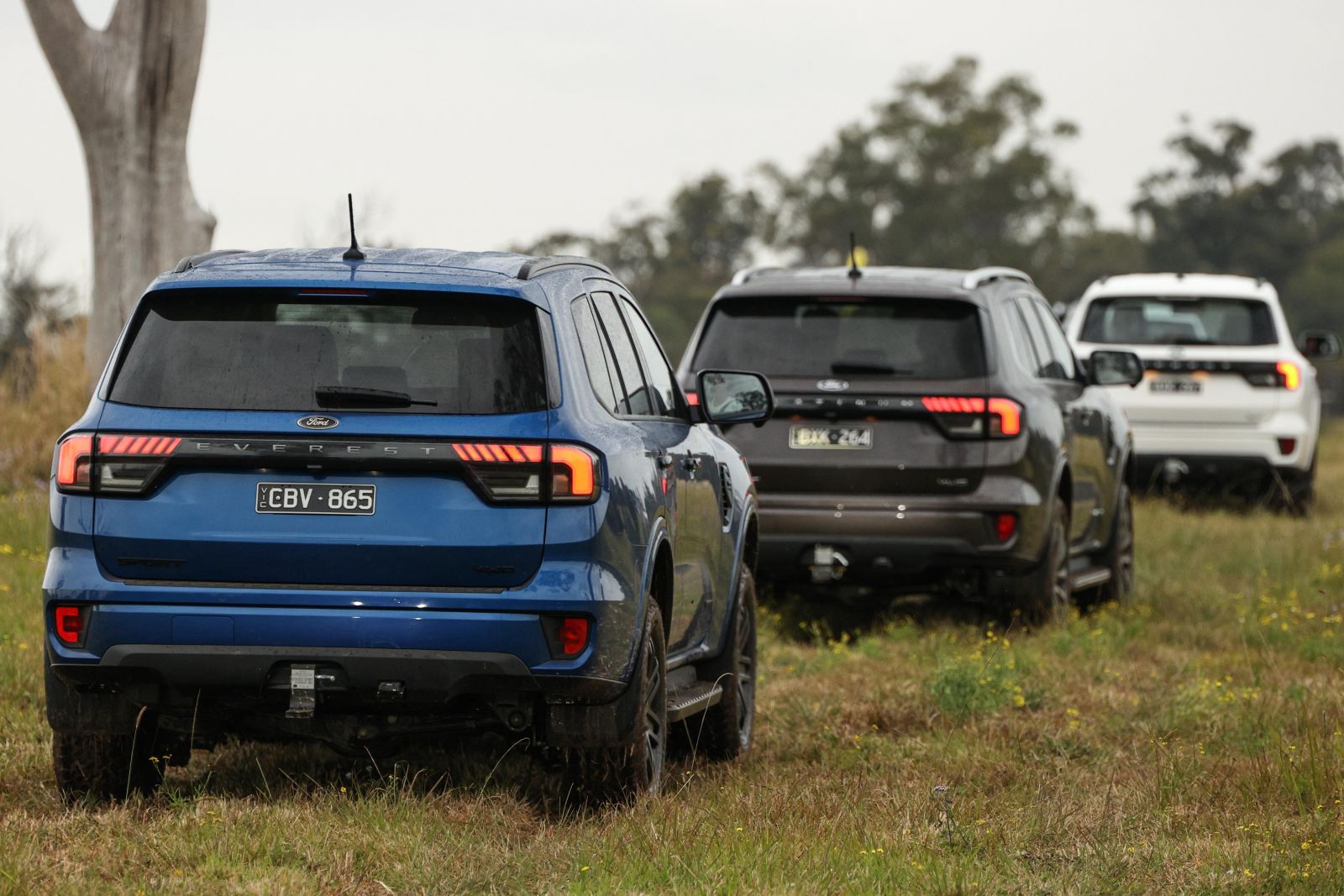 Ford Everest V6 wait times now at 12 months CarExpert