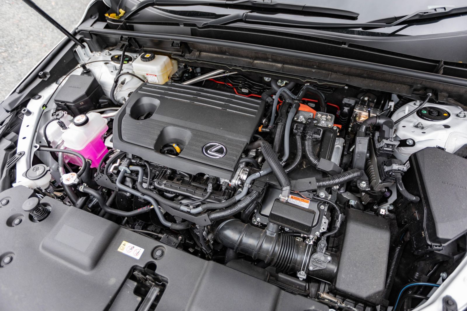 2023 Lexus NX350h Sports Luxury