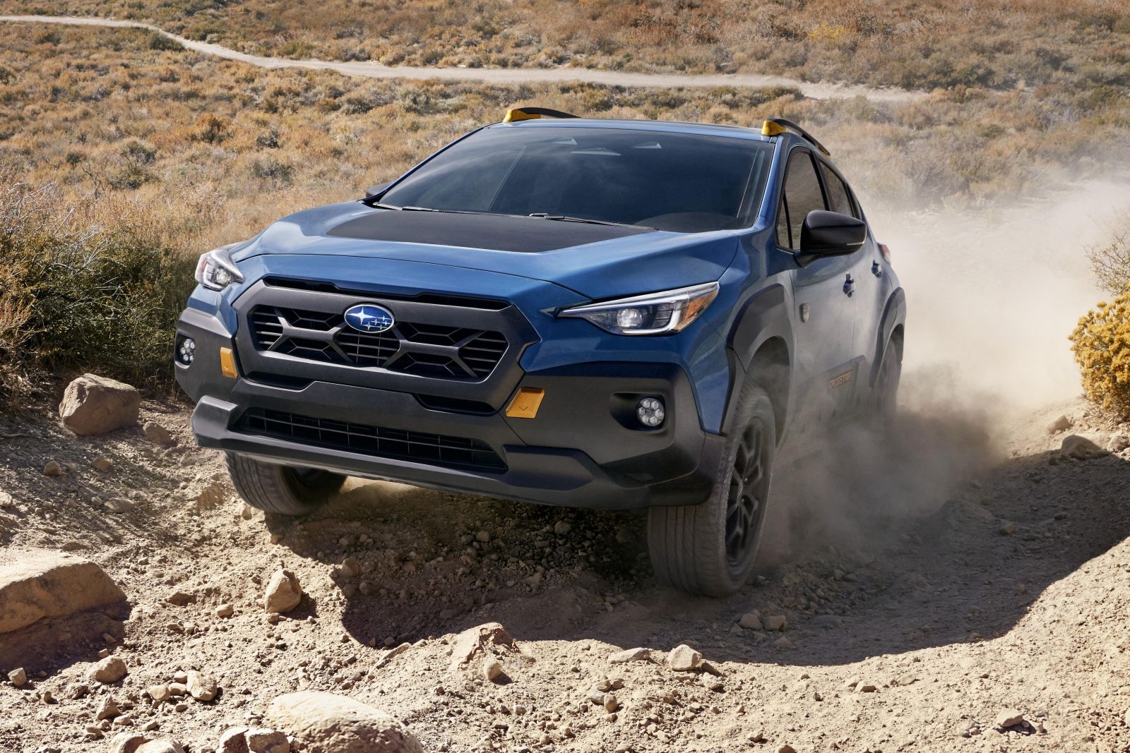 This week in news: 15-19 May