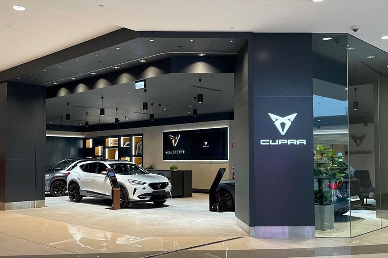 Australia's largest car dealer group targeted by cyber attack CarExpert