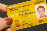 How much does it cost to get your driver's licence in Australia?