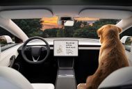 Is it legal to drive with your dog in the front seat in Australia?