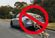 How the government's lofty net zero EV target is helping make us broke