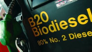 Filling it up: Biodiesel and other biofuels