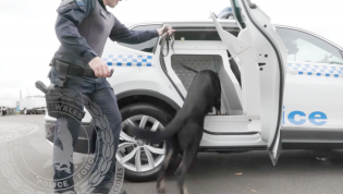 NSW Police dog squad getting cooler rides