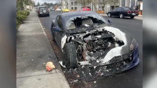 Arsonist sets Tesla on fire, Sentry Mode captures the evidence