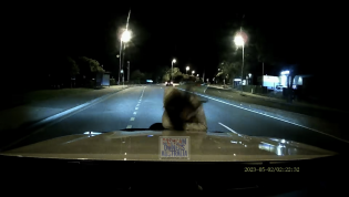 Camera catches 3AM hit and run insurance fraud that goes wrong for teenagers