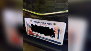 Almost 1 million American number plates link to gambling website