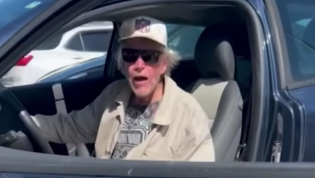 Actor Gary Busey plays Beach Boys as he flees alleged hit-and-run