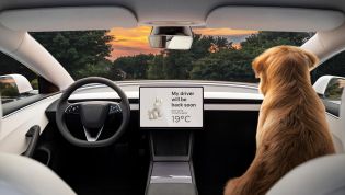 Is it legal to drive with your dog in the front seat in Australia?