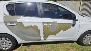 Hyundai owners demanding action over peeling paint