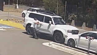 Watch: Toyota Prado owner's embarrassing crash chasing cricketer for an autograph