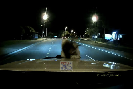 Camera catches 3AM hit and run insurance fraud that goes wrong for teenagers