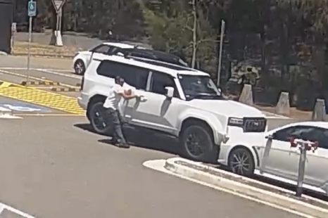 Watch: Toyota Prado owner's embarrassing crash chasing cricketer for an autograph