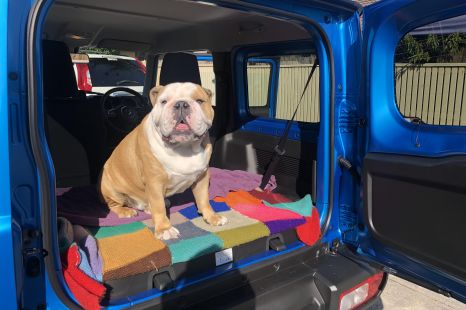 How to make your owner review stand out