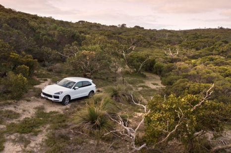 Porsche Australia offering carbon offset for new-car buyers