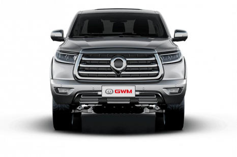 2021 Great Wall Ute here in late 2020 with three models