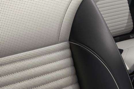 Leather, and why not all animals are equal