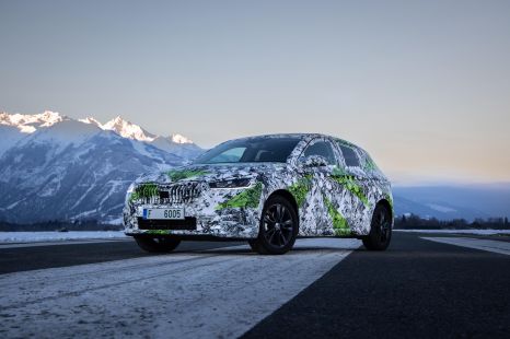 2022 Skoda Fabia growing up