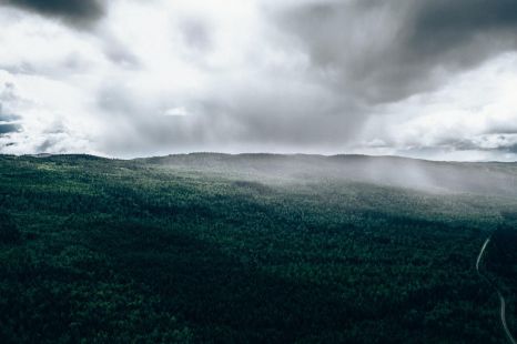 European battery supplier Northvolt developing wood-based batteries