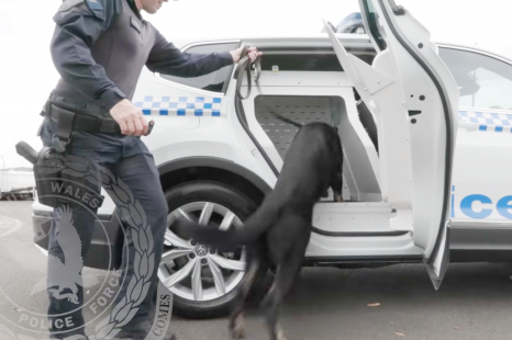 NSW Police dog squad getting cooler rides