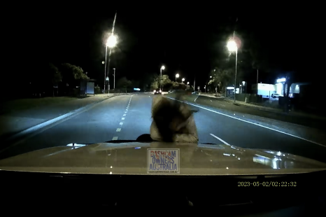 Camera catches 3AM hit and run insurance fraud that goes wrong for teenagers