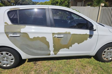 Hyundai owners demanding action over peeling paint