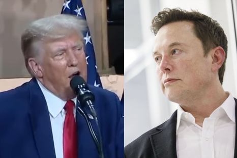 Donald Trump says Elon Musk ‘went crazy’ over US EV subsidy cuts