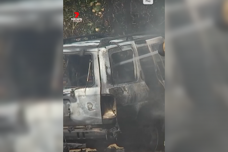 Nissan Pathfinder burns to the ground after drastic spider removal technique backfires