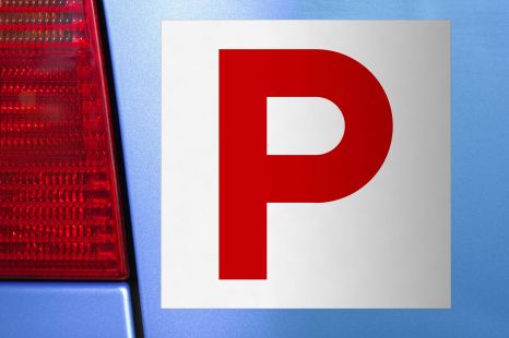 This Australian MP wants to lower the age for learners to get their P-plates