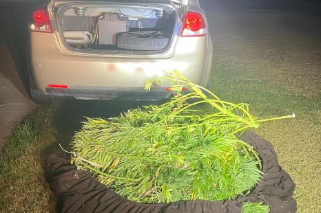 Dopey Holden driver busted after open boot reveals huge weed stash