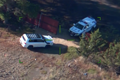 Police recover three dozen stolen cars from organised theft syndicate