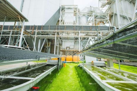 Mazda backs algae-based biofuels as path to carbon-negative motoring