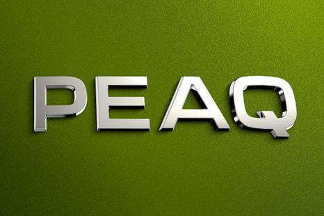 2027 Skoda Peaq: Upcoming flagship EV named