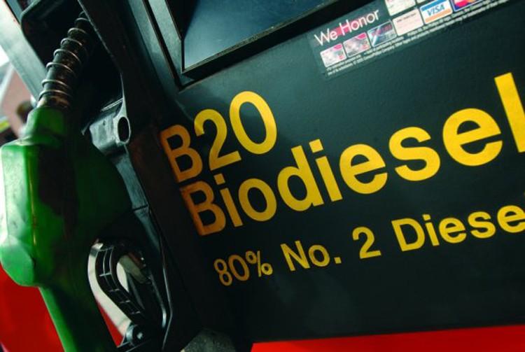 Filling it up: Biodiesel and other biofuels