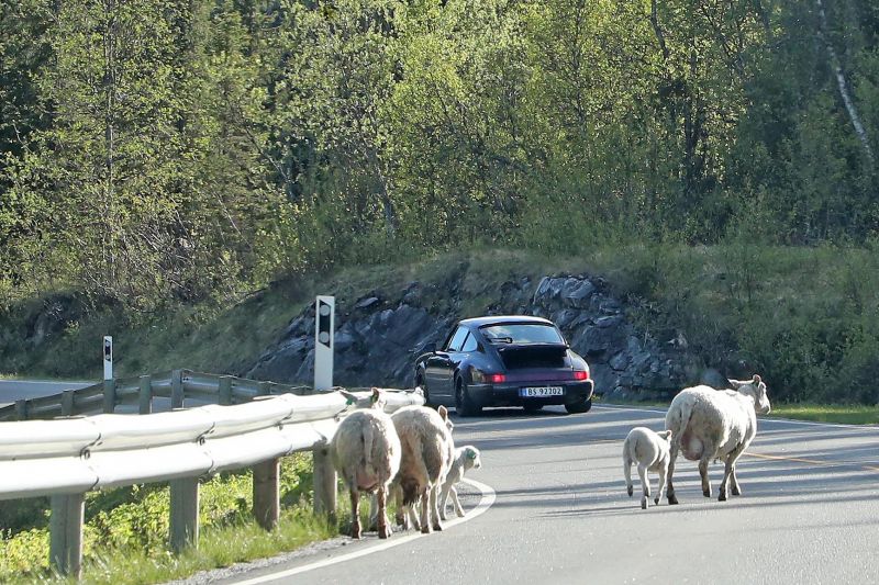 Blitzing through Scandinavia in a fleet of classic Porsches