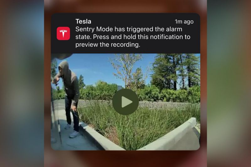 Trick features coming to Tesla Model 3, Model Y owners