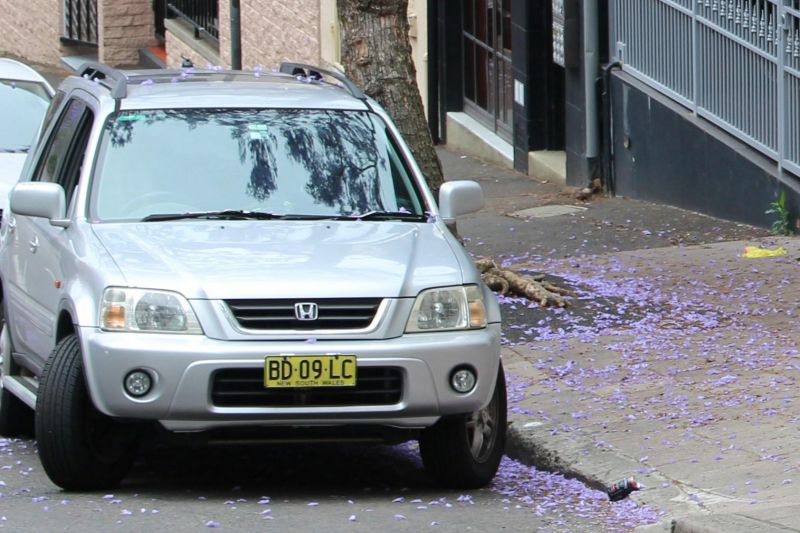 Ranger danger! Why this union wants ticketless parking fines