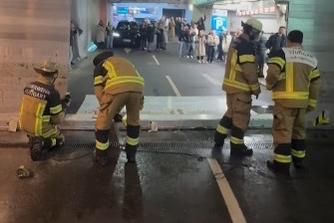 How pigeons trapped 200 drivers in a carpark