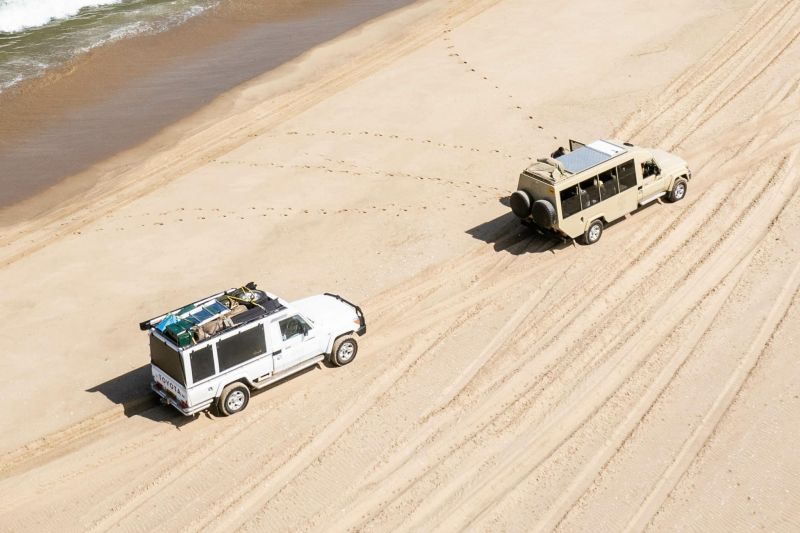 4x4s causing 'widespread damage' to Australian beaches – study