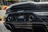 Lamborghini nurtures combustion in EV era – CEO interview