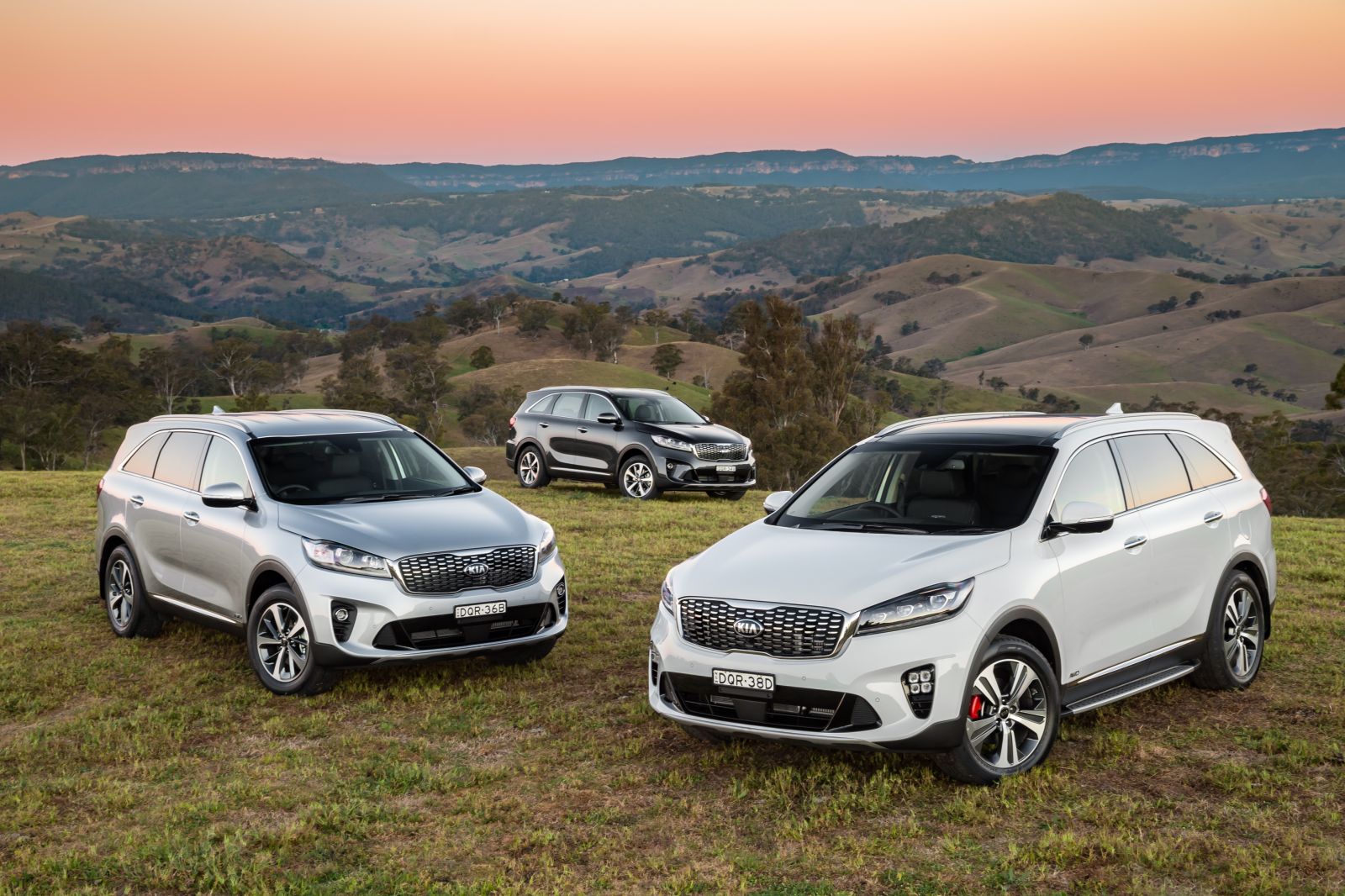 2020 Kia Sorento price and specs CarExpert